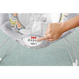 Fisher Price Sweet Snugapuppy™ Dreams Deluxe Bouncer DTH04