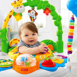 Fisher Price Go Wild! Jumperoo® DTL57