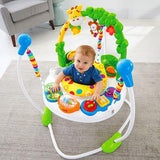 Fisher Price Go Wild! Jumperoo® DTL57