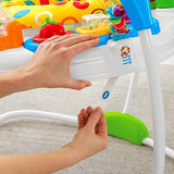 Fisher Price Go Wild! Jumperoo® DTL57