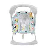 Fisher Price Deluxe Take-Along Swing & Seat DYH31 or CJV03