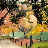 Woodstock Emperor Gong - Black EGCB