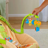 Fisher Price Newborn-to-Toddler Portable Rocker T2518