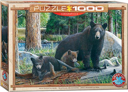 Bundle of 2 |New Discoveries by Kevin Daniel 1000-Piece Puzzle + Smart Puzzle Glue Sheets