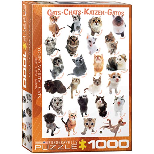 Bundle of 2 |EuroGraphics Cat Breeds Puzzle (1000-Piece) + Smart Puzzle Glue Sheets