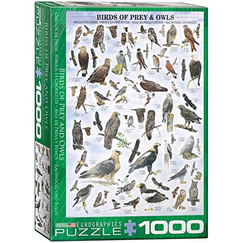 Bundle of 2 |EuroGraphics Birds of Prey and Owls Puzzle (1000-Piece) + Smart Puzzle Glue Sheets
