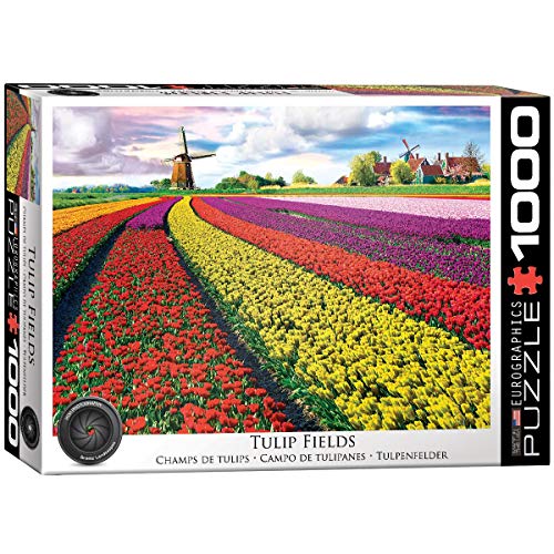 Bundle of 2 |Tulip Field - Netherlands 1000-Piece Puzzle + Smart Puzzle Glue Sheets