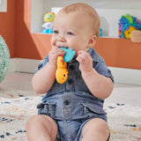 Fisher-Price Animal-Themed Baby Rattle Toy - Teething Time Otter