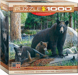 Bundle of 2 |EuroGraphics New Discoveries Puzzle (1000-Piece) + Smart Puzzle Glue Sheets