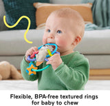 Fisher-Price Baby Toys Twist & Teethe Otter 2-In-1 Rattle and BPA-Free Teether with Textured Rings for Infant Fine Motor Play