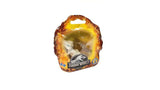 Imaginext Jurassic World Baby Dinosaur Action Figure - Indominus Rex