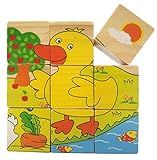 VIAHART Six Sided Wooden Cube Puzzle | Case of 32