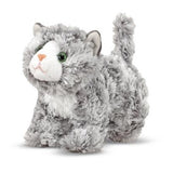 Roxie Grey Tabby