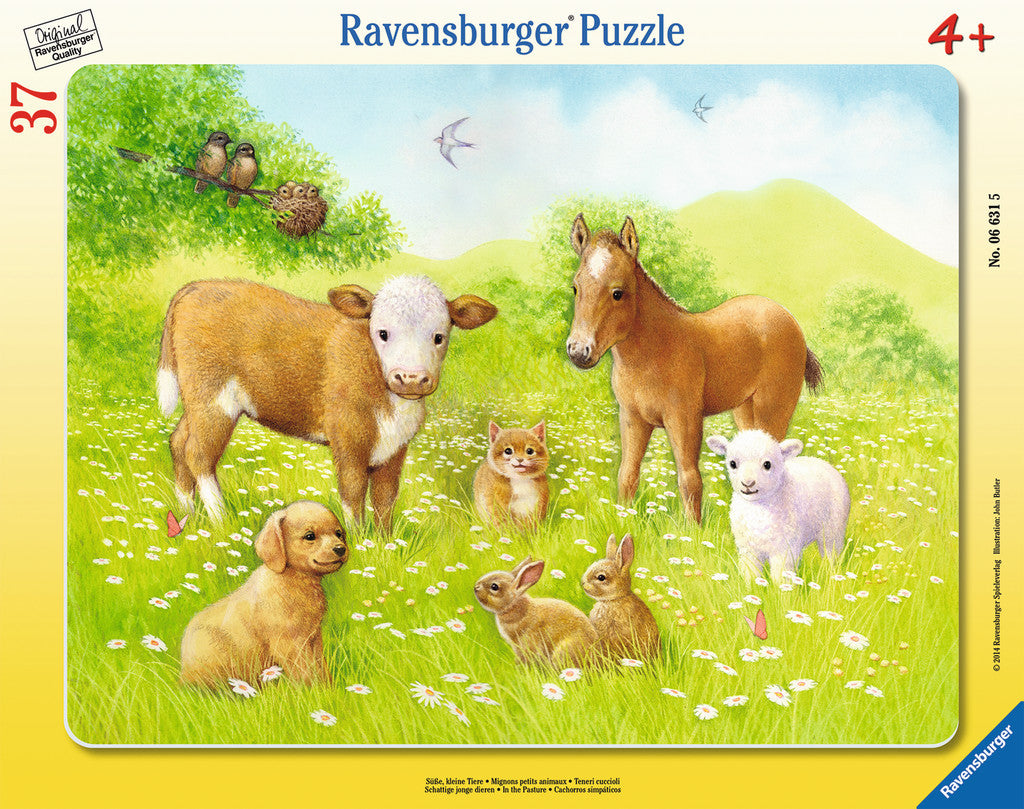 Ravensburger Children's Puzzles Frame Puzzles - In the Pasture (37 pc Puzzle) 6631