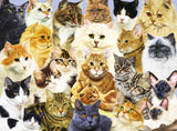 Ravensburger Children's Puzzles 100 pc Puzzles - Cat Pride 10527