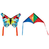 Mini Rainbow Delta Kite