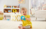 Fisher-Price Signature Series Elephant mirror FJG09