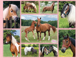 Ravensburger Children's Puzzles 300 pc Puzzles - Horse Heaven 13174