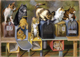 Ravensburger Adult Puzzles 300 pc Large Format Puzzles - Cat's Got Mail 13562
