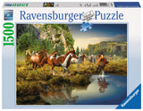 Ravensburger Adult Puzzles 1500 pc Puzzles - Wild Horses 16304
