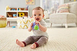 Fisher-Price Signature Series Chameleon Teether FGJ55