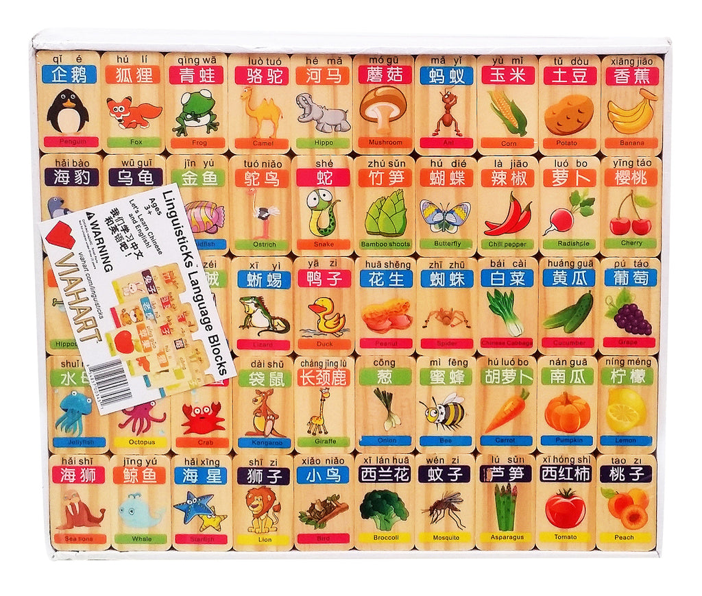 Viahart Linguisticks 100 Piece Chinese English Language Learning Wooden Blocks