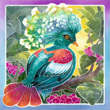 Ravensburger Arts & Crafts Aquarelle Glow Edition - Birds 29447