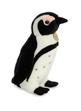 Aurora - Miyoni - 11" African Penguin