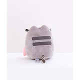 GUND 6058994 Pusheen Rainbow, 9-inch Height
