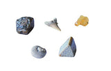 Thames & Kosmos I Dig It! Fossils - Real Fossils Excavation Kit | Science Experiment Kit | Excavate Real Fossil Specimens | Paleontology | 2018 Oppenheim Toy Portfolio Platinum Award