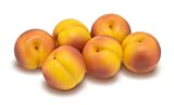 Nectarine Bulk Fruits & Veggies