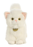 Aurora - Miyoni - 9.5" Persian Kitten