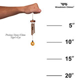 Woodstock Chimes PSTE The Original Guaranteed Musically Tuned Chime, Precious Stones-Tiger's-Eye