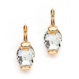 Clear Crystal Oval Drop Bling Earrings
