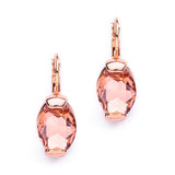 Clear Crystal Oval Drop Bling Earrings
