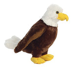 Aurora - Destination - 12" Eagle