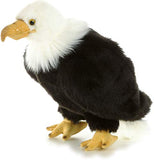 Aurora - Wild Life - 10.5" Regal Eagle