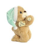 Aurora - Precious Moments - 10" Charlie Prayer Bear