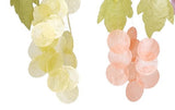 Woodstock Chimes C720 The Original Guaranteed Musically Tuned Chime Asli Arts Collection, 21-Inch, Capiz - Grapes