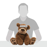 GUND Grahm Teddy Bear Plush Stuffed Animal, Brown, 18"