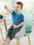 Fisher-Price Hungry Raccoon Booster Seat, Portable Toddler Chair