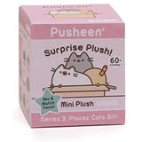 GUND Pusheen Places Cats Sit Blind Box Series 3 Bundle with Pusheen Chip Backpack Clip