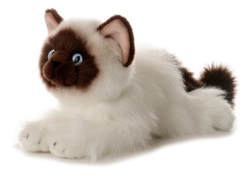 Aurora - Flopsie - 12" Bella (Birman Cat),Multi