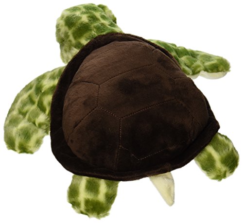 Aurora - Destination - 13" Turtle