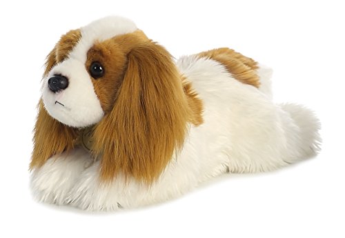 Aurora - Miyoni - 11" King Charles Cavalier