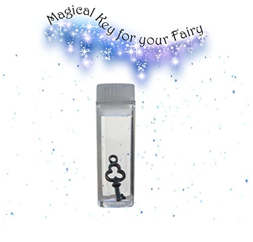 The Irish Fairy Door Company FD554215 Magical Irish Fairy Door, Pink