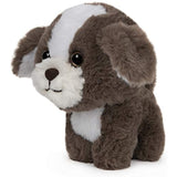 GUND Pet Shop Shih Tzu Puppy Dog Plush Stuffed Animal, Brown and White, 6"
