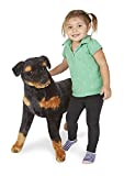 Melissa & Doug Giant Rottweiler - Lifelike Dog Stuffed Animal (2 feet tall)