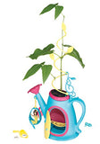 My Fairy Garden - Bean Blossom