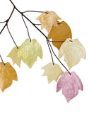 Woodstock Chimes C721 The Original Guaranteed Musically Tuned Chime Asli Arts Collection, 14-Inch, Capiz-Autumn Leaves